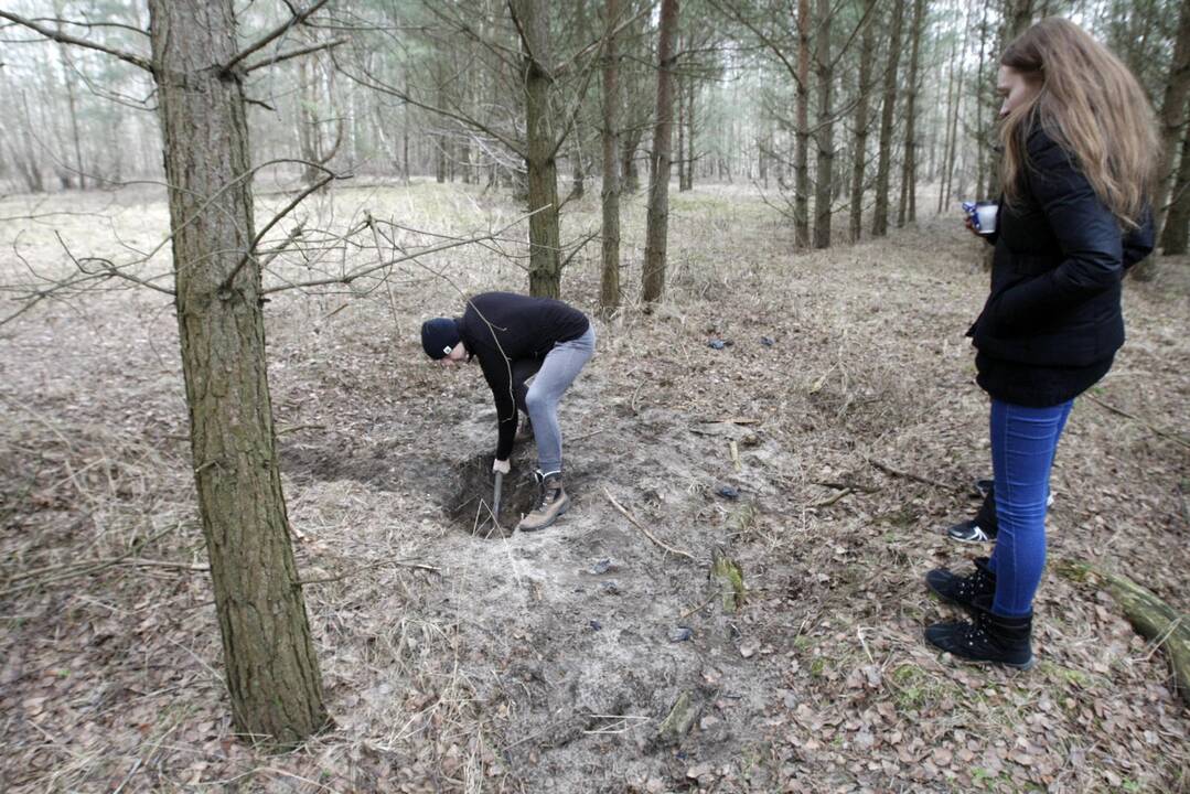 Dingusio vaikino paieška