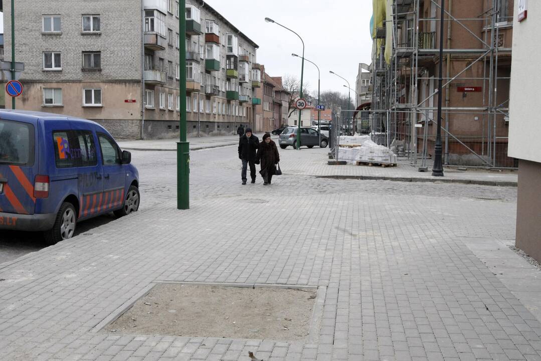 Klaipėdai trūksta vyriausiojo sodininko