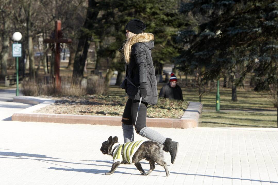 Orai Klaipėdoje