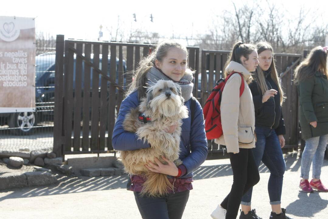 „Linksmosios pėdutės” švenčia gimtadienį 