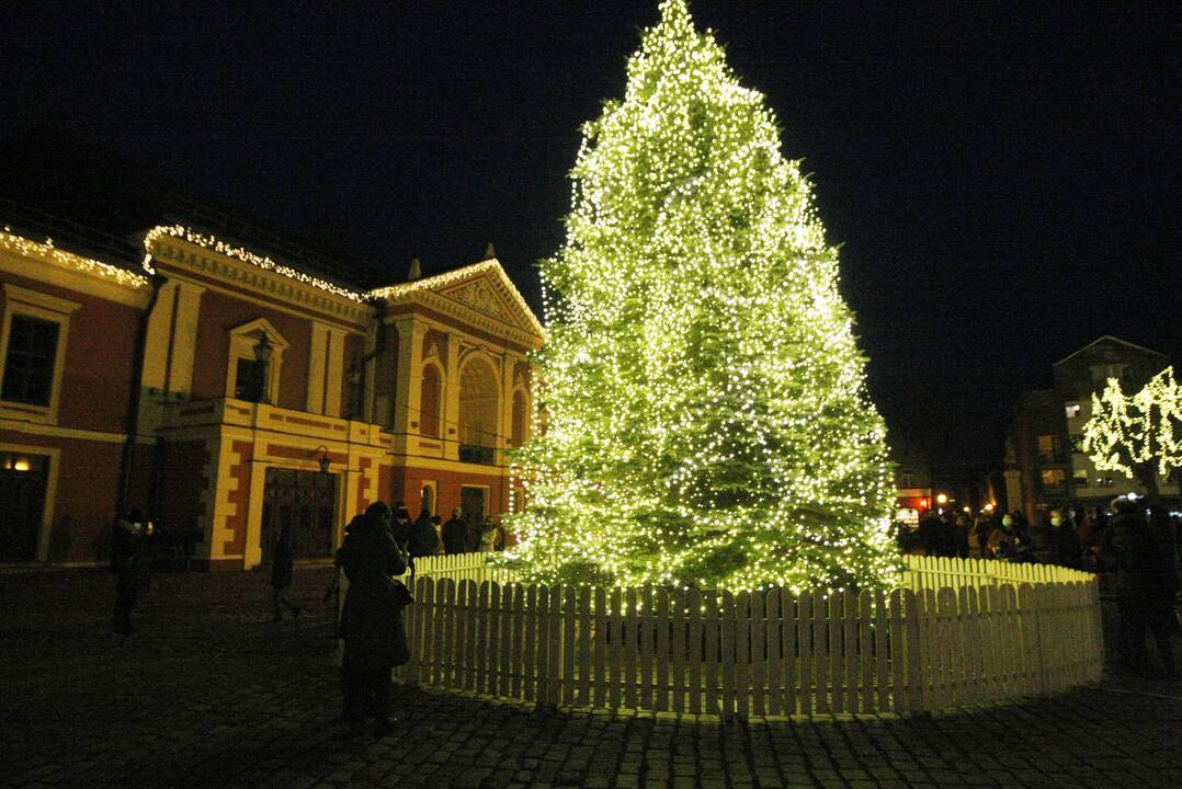 Klaipėdoje sužibo tradiciškai gyva eglė (2020)