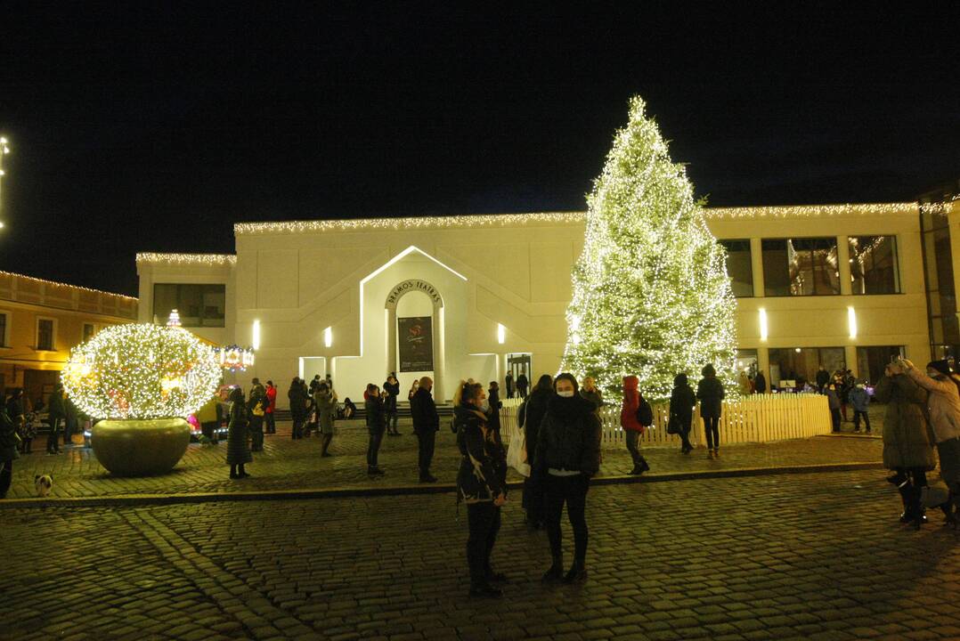 Klaipėdoje sužibo tradiciškai gyva eglė (2020)