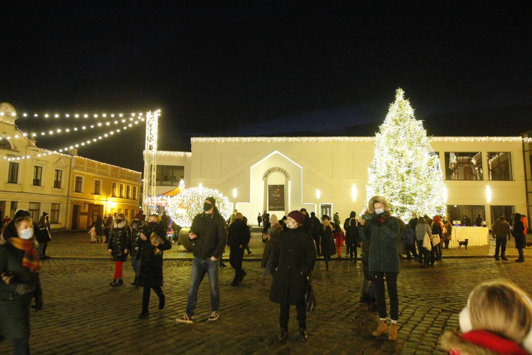 Klaipėdoje sužibo tradiciškai gyva eglė (2020)