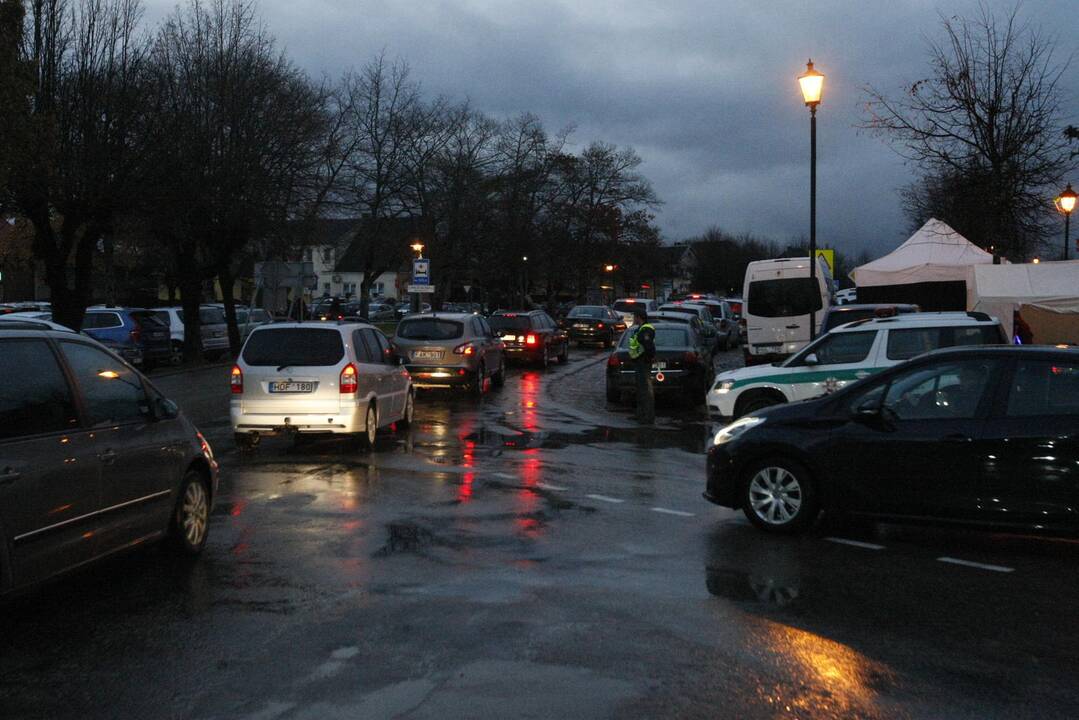 Šimtai moliūgų nušvito Švėkšnos parke