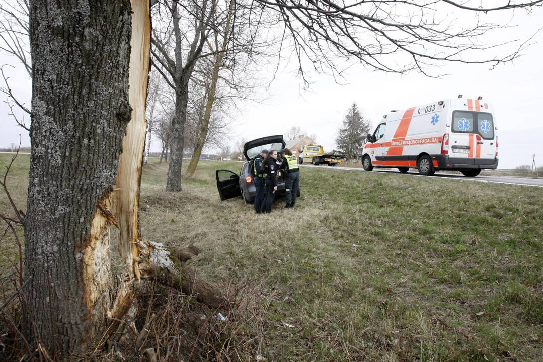 Pakeliui iš Klaipėdos į Palangą automobilis rėžėsi į medį