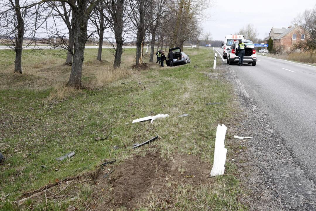 Pakeliui iš Klaipėdos į Palangą automobilis rėžėsi į medį