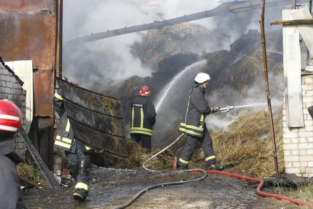 Klaipėdos rajone liepsnoja šieno prikrautas angaras