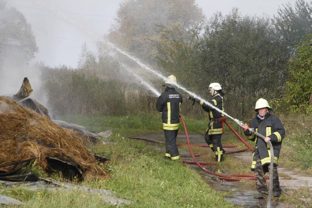 Klaipėdos rajone liepsnoja šieno prikrautas angaras