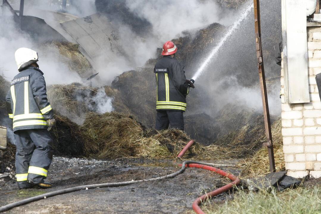 Klaipėdos rajone liepsnoja šieno prikrautas angaras