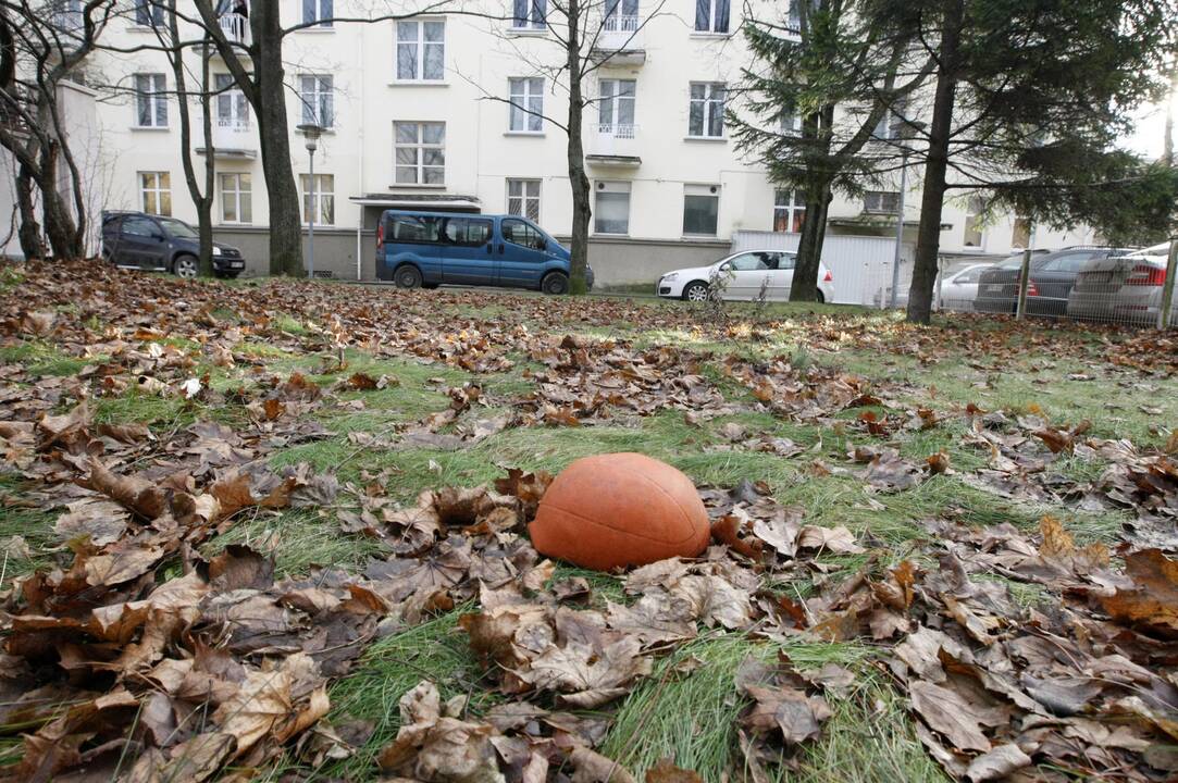 Iš bankrutavusios laivininkystės teliko lapų krūva