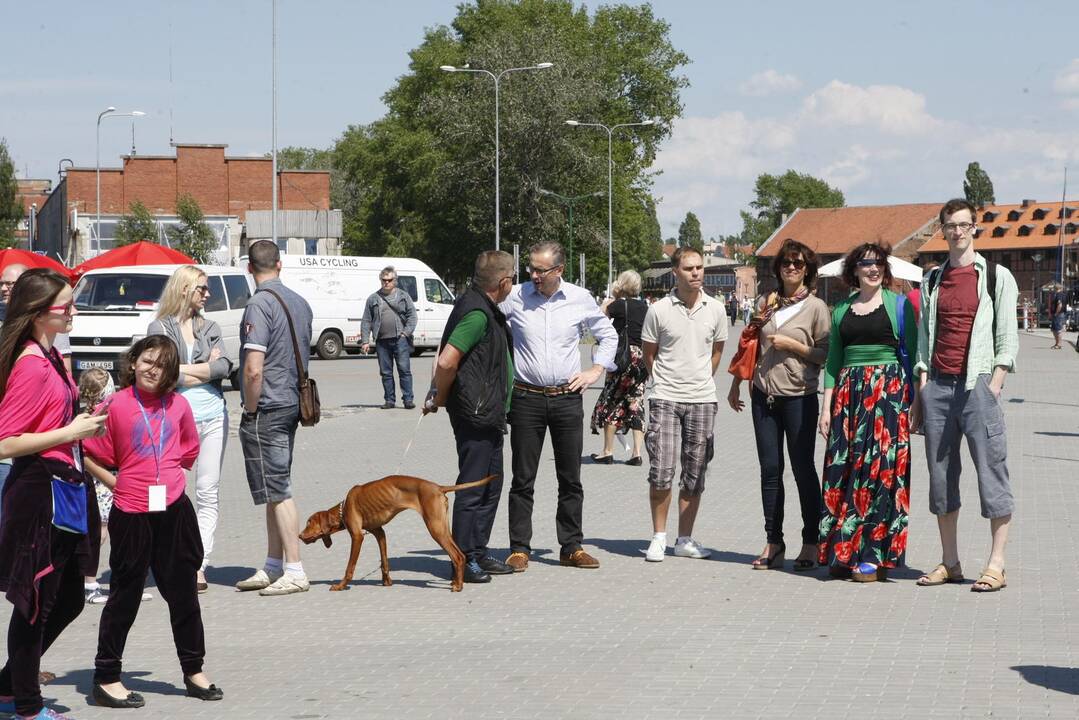 Skulptūros "Bučinys" atidengimas