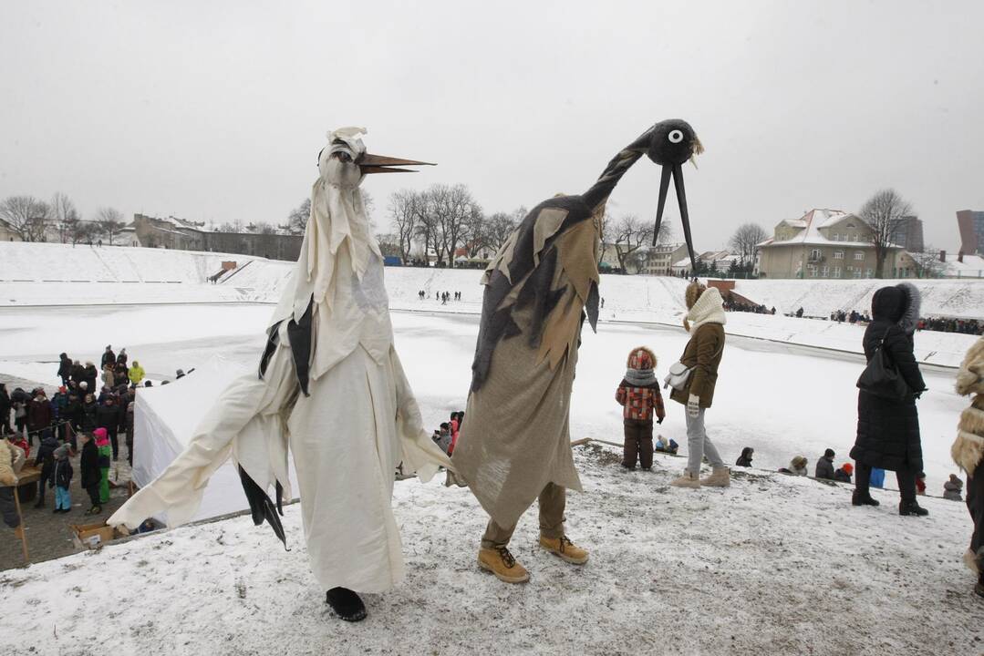 Klaipėdiečiai nenusižengė tradicijoms: per Užgavėnes išdykavo ir sudegino Morę