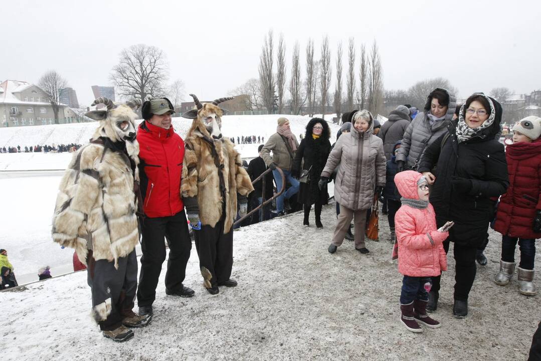 Klaipėdiečiai nenusižengė tradicijoms: per Užgavėnes išdykavo ir sudegino Morę