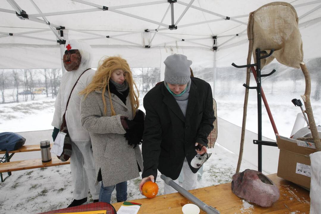 Klaipėdiečiai nenusižengė tradicijoms: per Užgavėnes išdykavo ir sudegino Morę