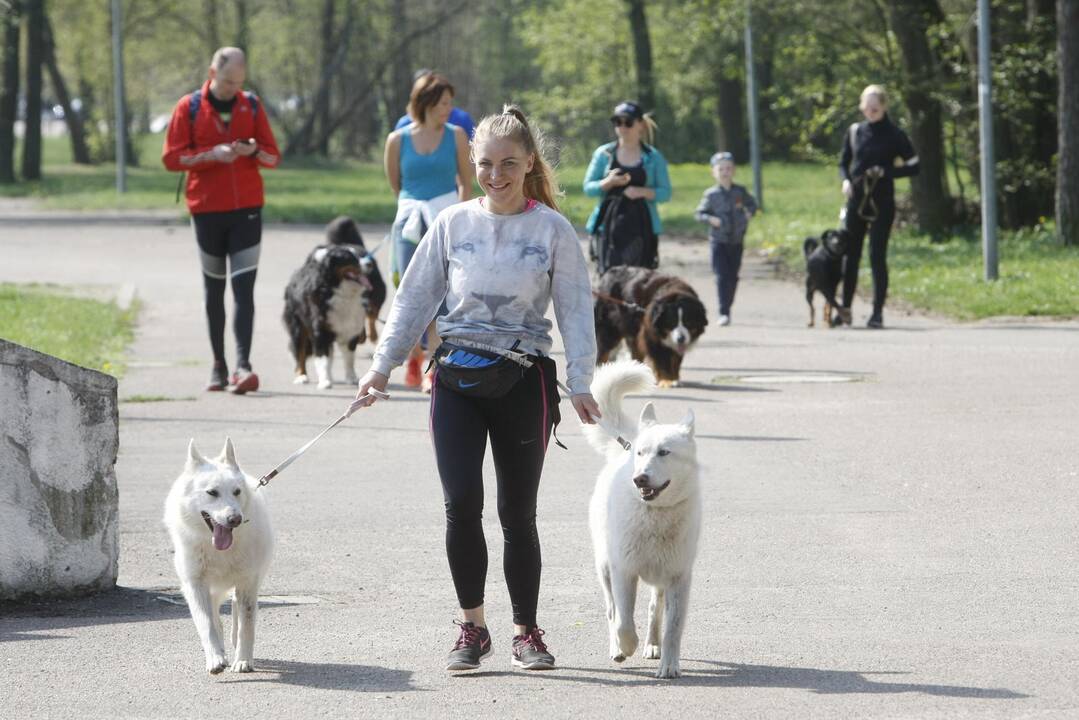 Šuniukų bėgimas