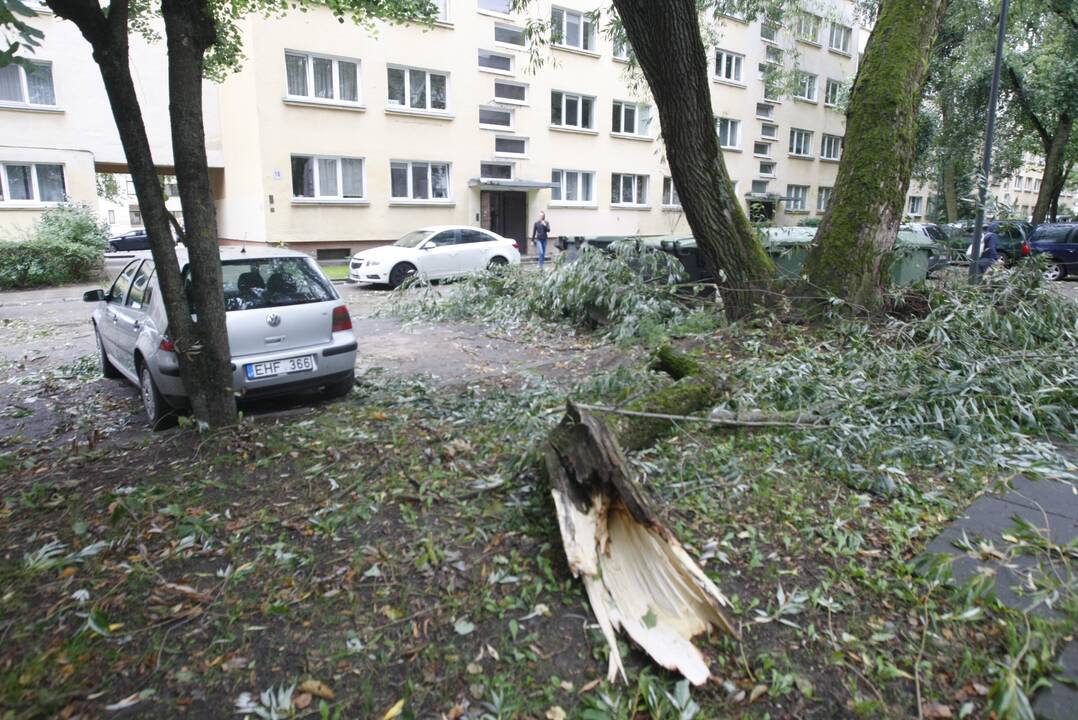 Klaipėdoje siautėja štormas: virsta medžiai, ugniagesiai vos spėja suktis