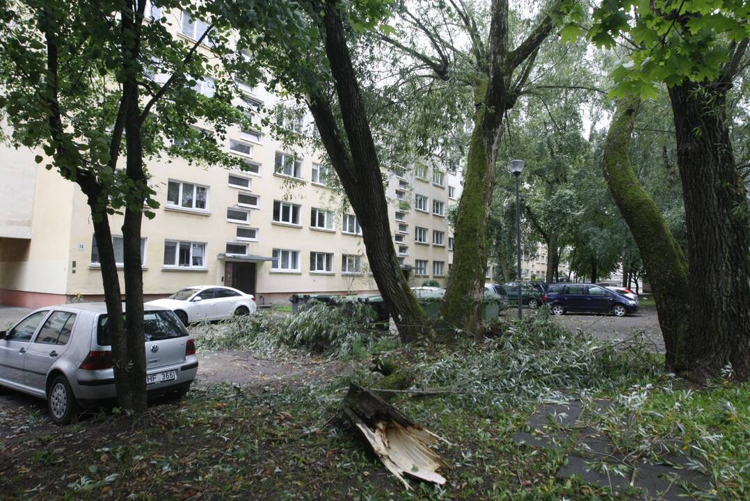 Klaipėdoje siautėja štormas: virsta medžiai, ugniagesiai vos spėja suktis