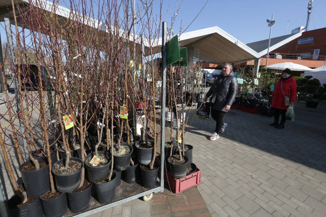 Velykinė mugė Naujajame turguje 