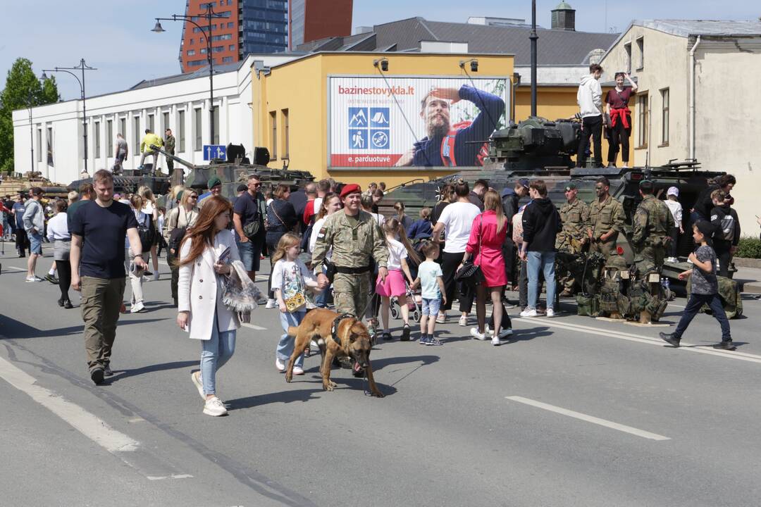 Kariuomenės ir visuomenės vienybės diena