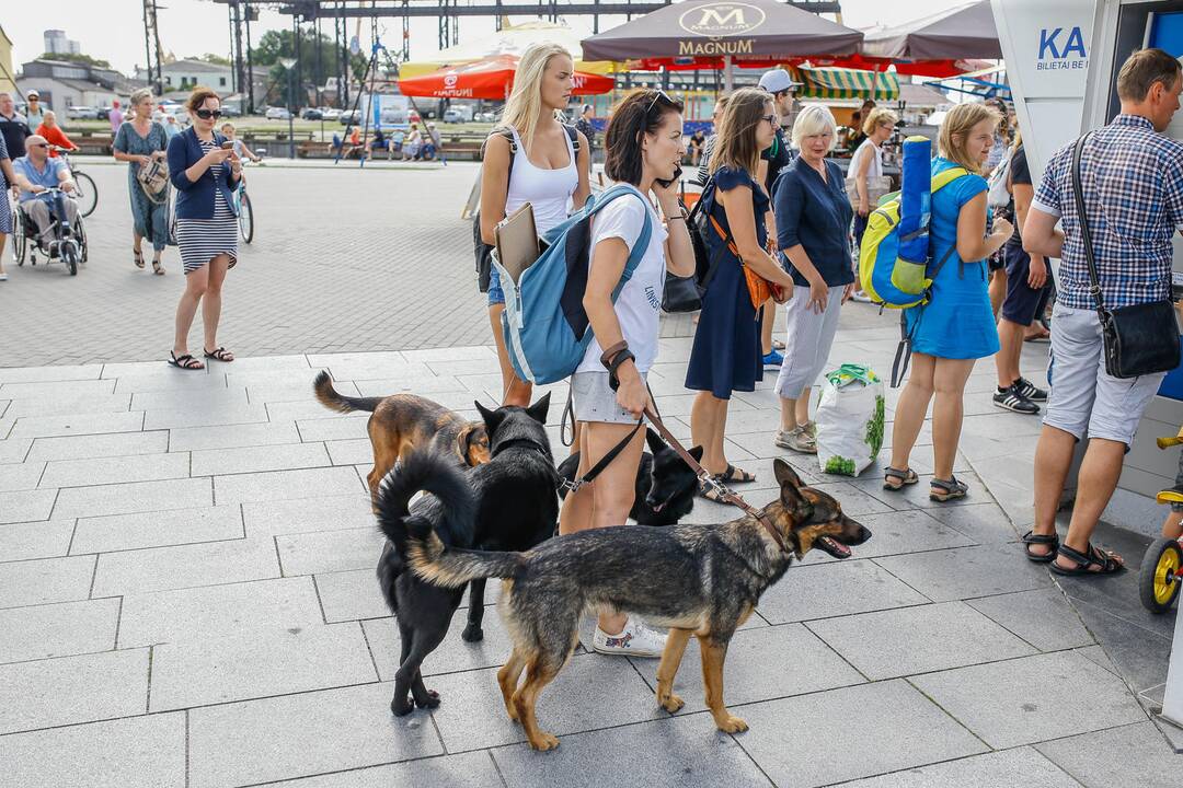 Tarptautinei benamių gyvūnų dienai – simbolinis žygis