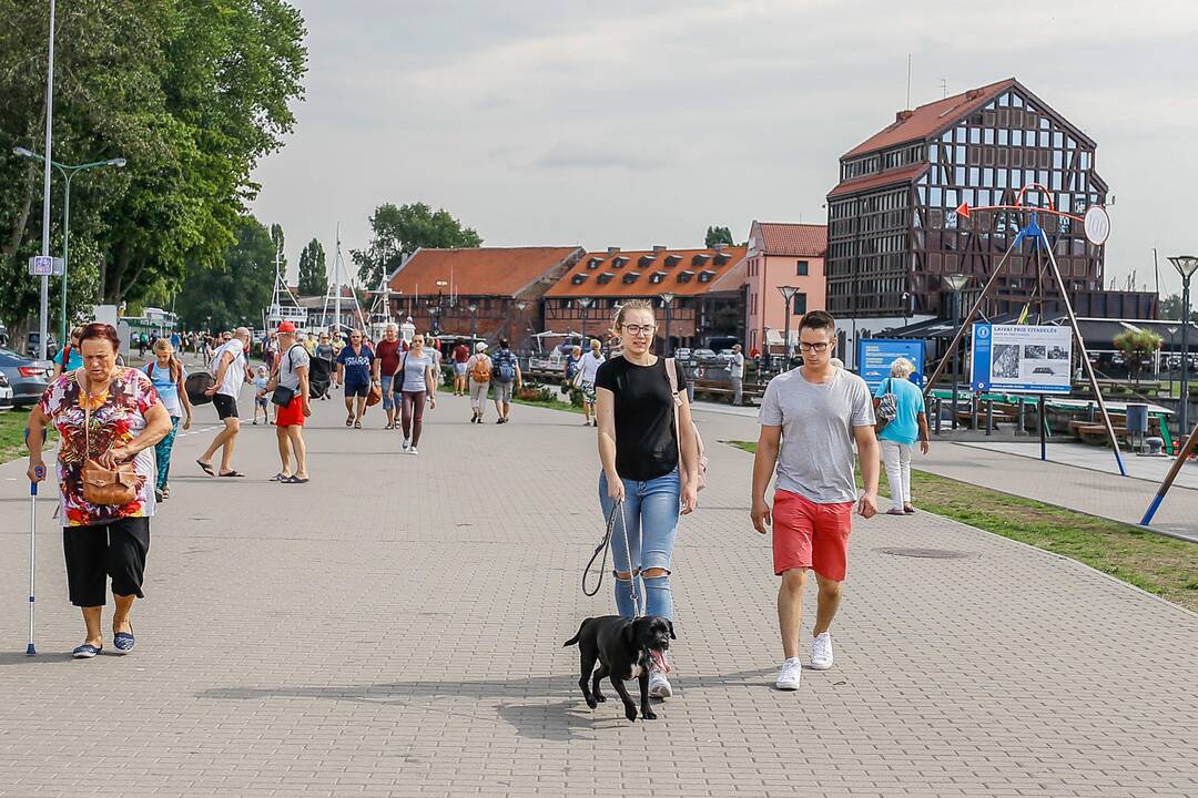 Tarptautinei benamių gyvūnų dienai – simbolinis žygis