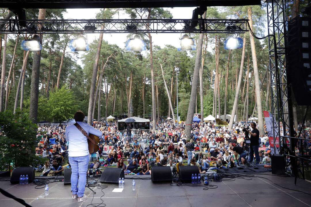 Festivalis „Akacijų alėja 2019“