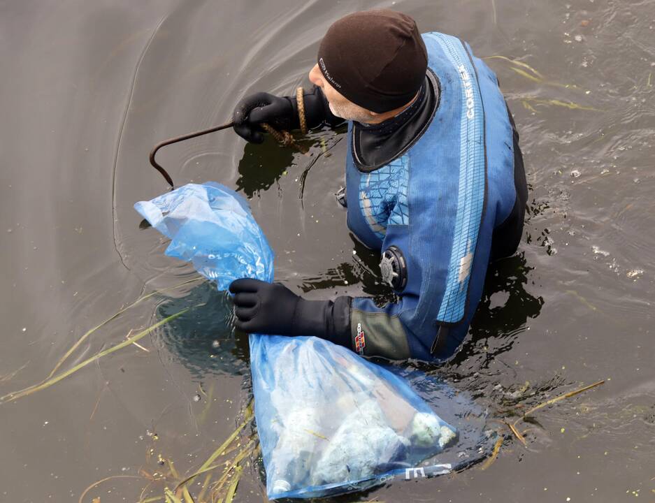 Kauniečiai valė Nemuną ir Nerį.