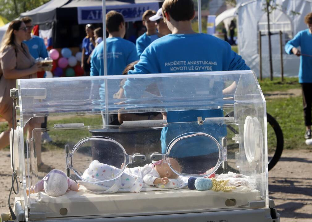 „Laisvės pikniko“ pramogos