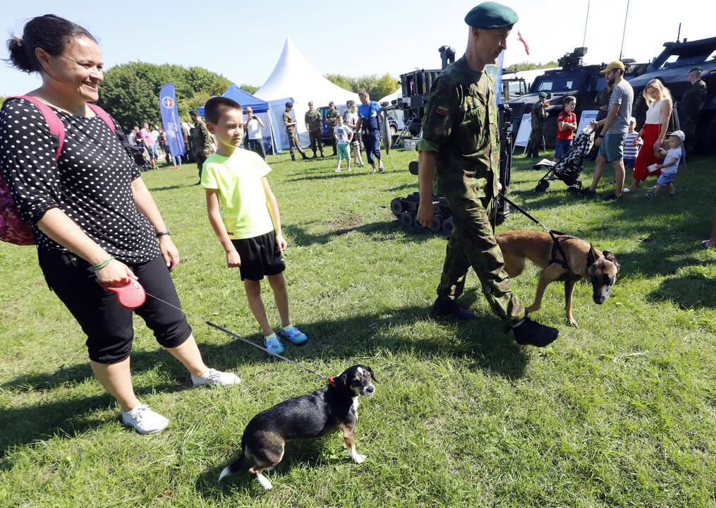 „Laisvės pikniko“ pramogos