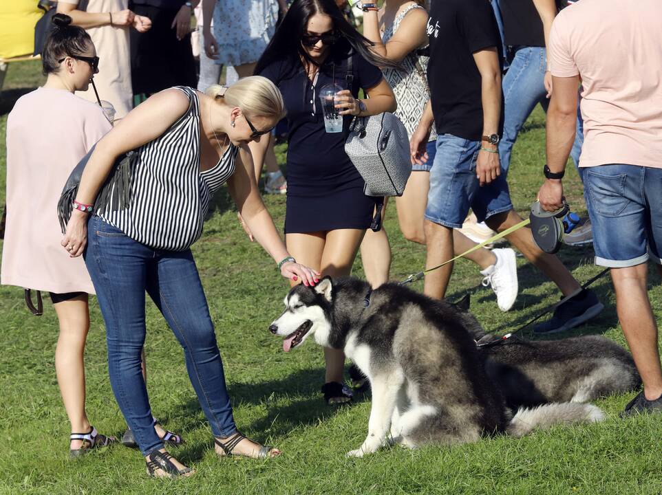„Laisvės pikniko“ vakarinė dalis