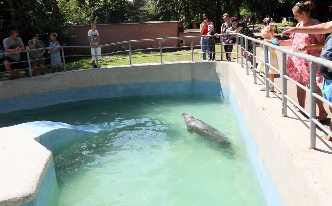 Zoologijos sodas prieš rekonstrukciją.