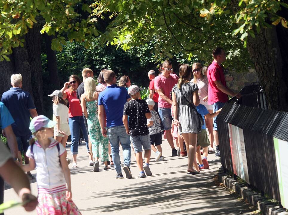 Zoologijos sodas prieš rekonstrukciją.