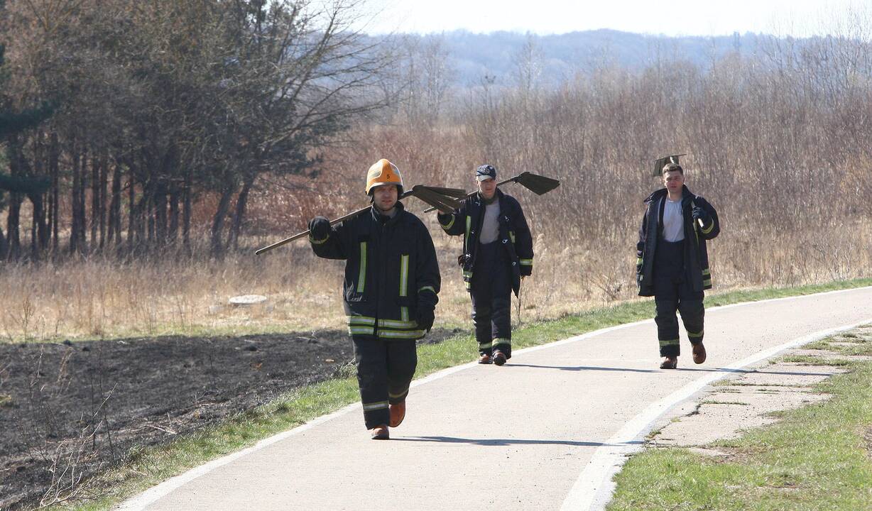 Kauno mieste ir rajone vėl masiškai liepsnoja žolė