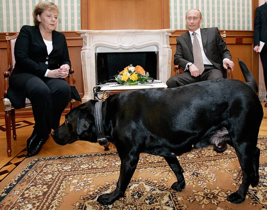 V. Putinas po septyniolikos metų atsiprašė A. Merkel už incidentą su šunimi