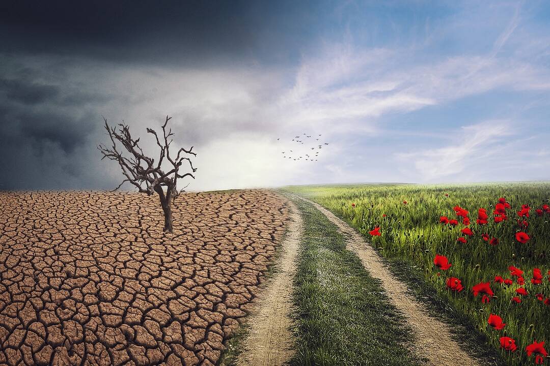 ES siekia suderinti verslo poreikius ir klimato tikslus