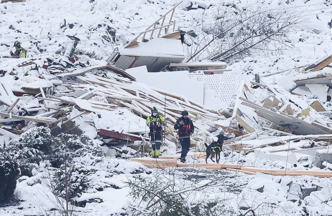 Norvegijoje purvo nuošliaužos vietoje rastas gyvas šuo