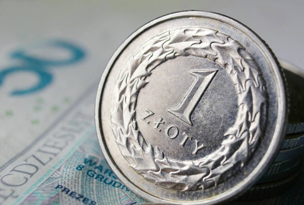 Trys ketvirtadaliai lenkų nepritaria zloto pakeitimui euru įvedimui