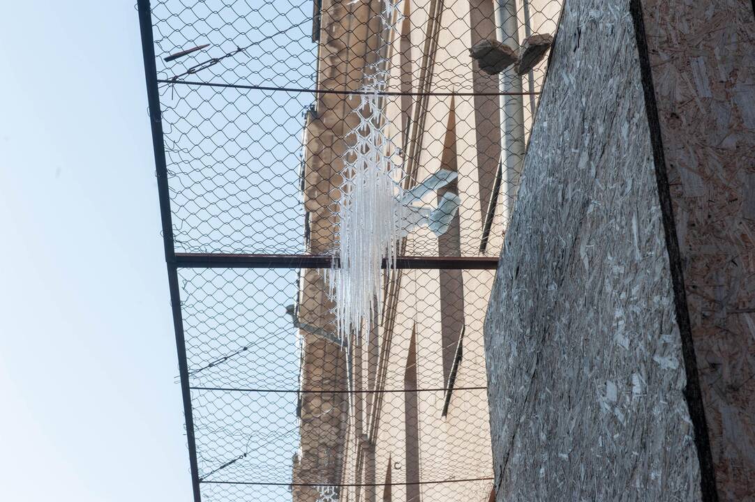 Varvekliai ant žydų ligoninės tinklų