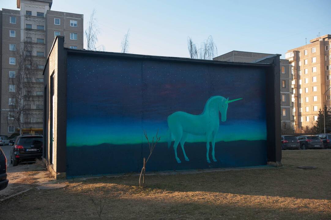 Vienaragio piešinys Šilainiuose