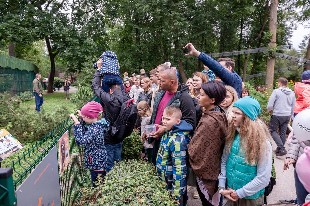 2018-07-01 - Lietuvos zoologijos sodo 80-asis gimtadienis