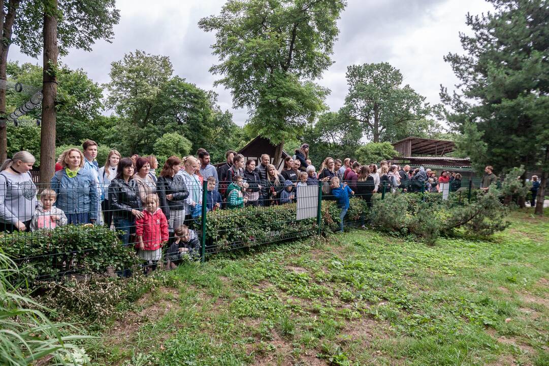 2018-07-01 - Lietuvos zoologijos sodo 80-asis gimtadienis