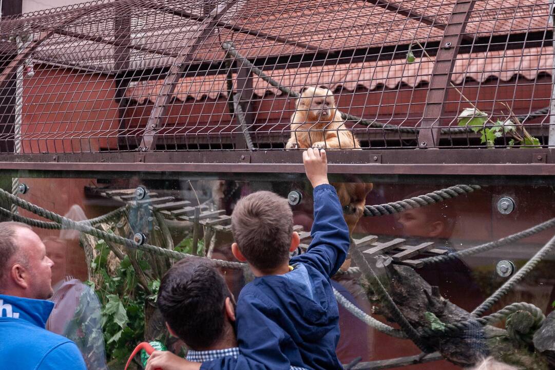 2018-07-01 - Lietuvos zoologijos sodo 80-asis gimtadienis