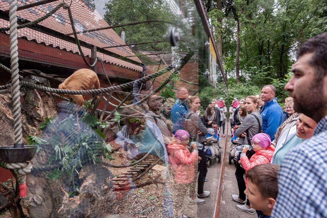 2018-07-01 - Lietuvos zoologijos sodo 80-asis gimtadienis