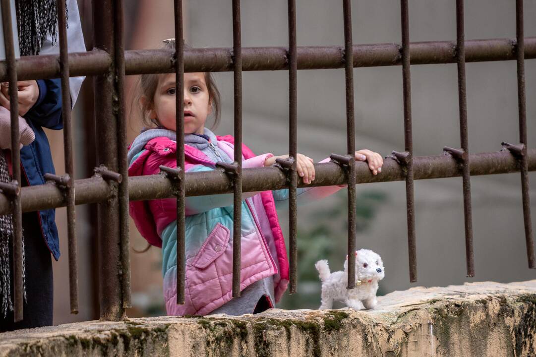2018-07-01 - Lietuvos zoologijos sodo 80-asis gimtadienis