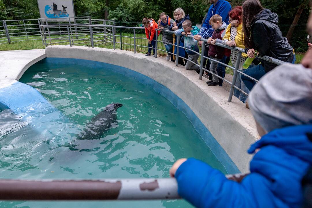 2018-07-01 - Lietuvos zoologijos sodo 80-asis gimtadienis