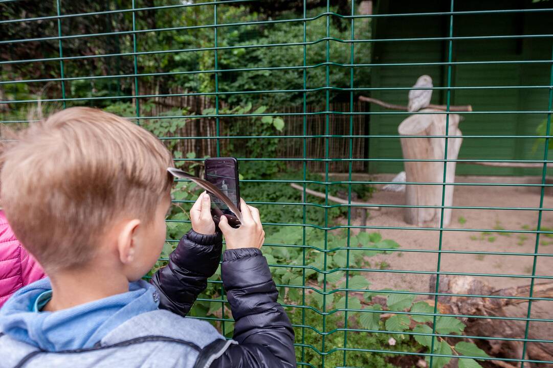 2018-07-01 - Lietuvos zoologijos sodo 80-asis gimtadienis