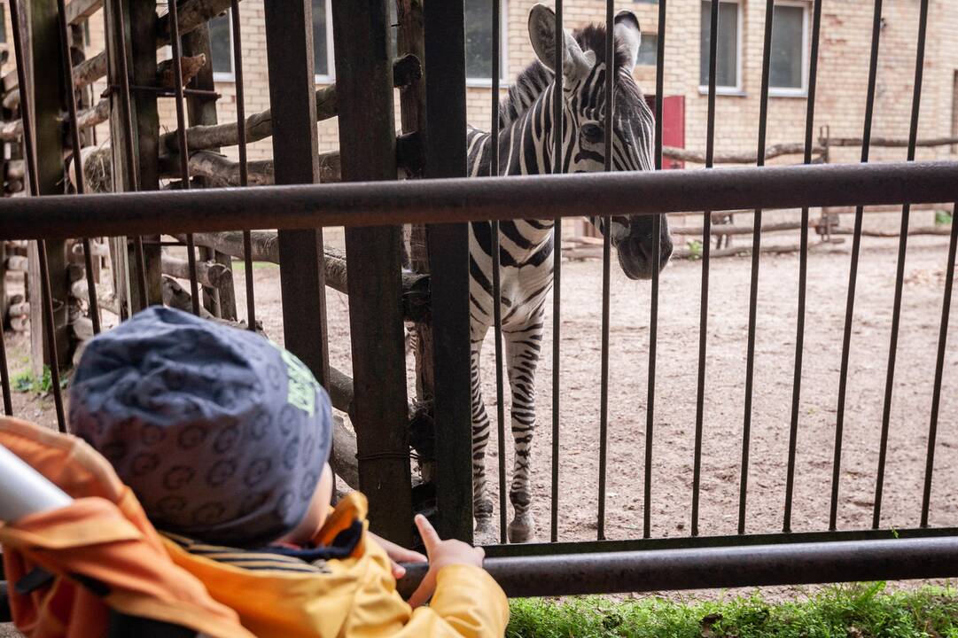 2018-07-01 - Lietuvos zoologijos sodo 80-asis gimtadienis