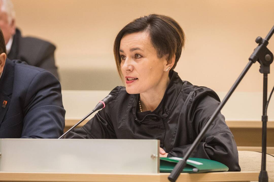 Kauno miesto tarybos posėdis (2019 vasaris)