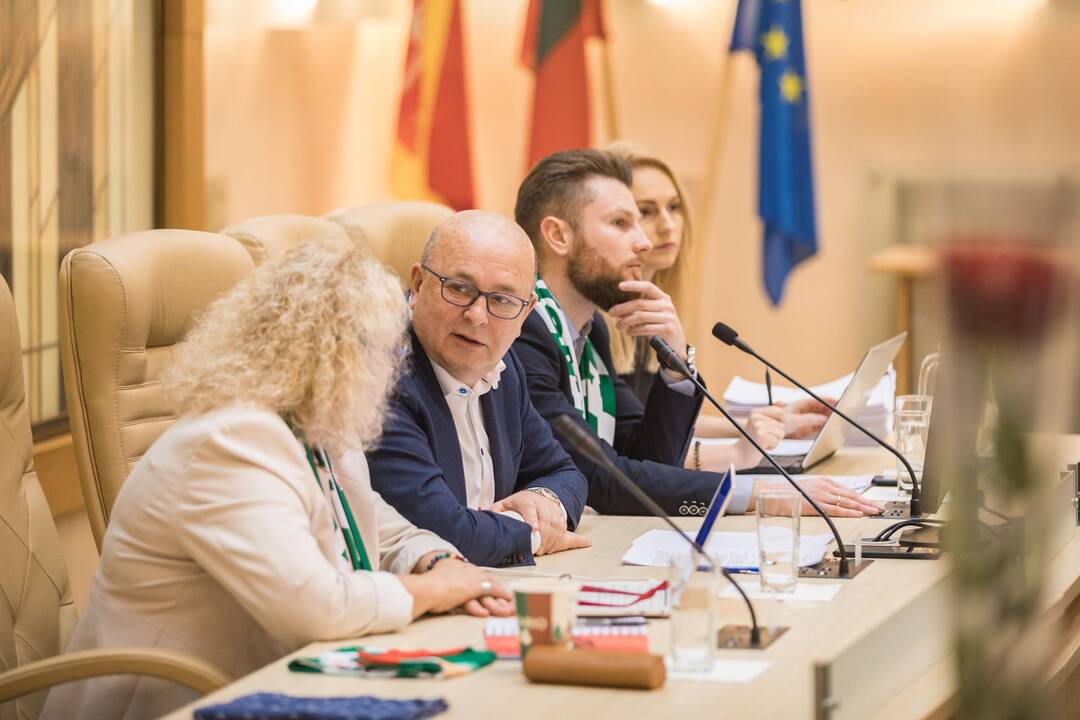 Kauno miesto tarybos posėdis (2019 vasaris)
