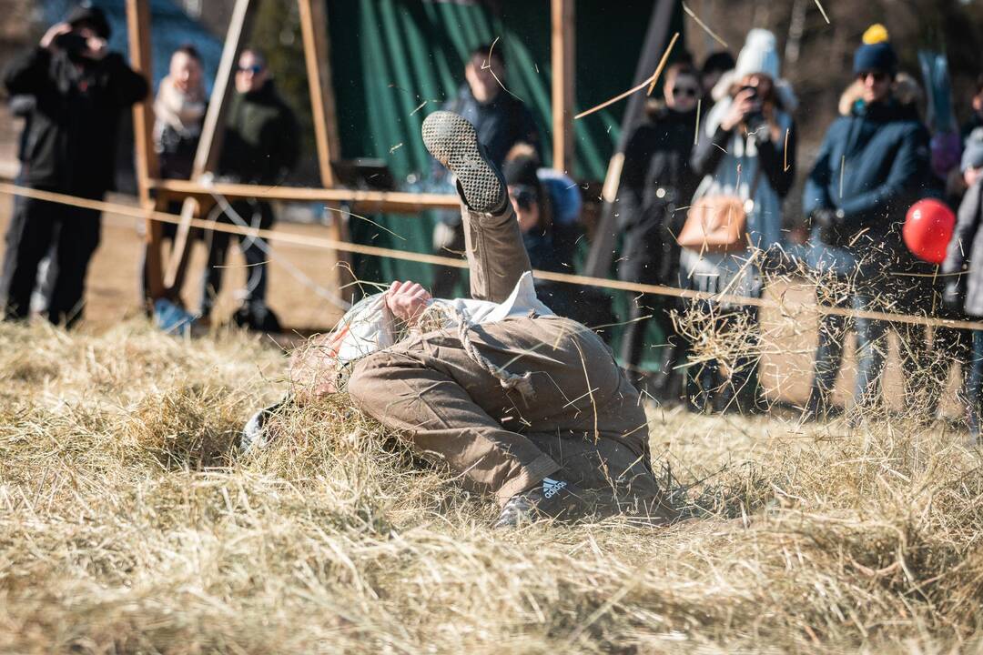Užgavėnės Lietuvos liaudies buities muziejuje Rumšiškėse